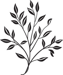 Leafy Sketches Plant Leaves Icon Design Natural Sketchbook Vector Badge Emblem