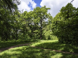 Beautiful landscape in the Leningrad region in North-West Russia