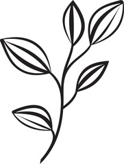 Leafy Lines Plant Leaves Badge Icon Botanic Illustration Vector Graphic Badge