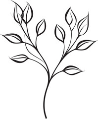 Lush Drawings Black Vector Leaf Badge Leafy Lines Plant Leaves Emblem Icon