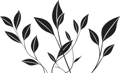 Greenery Sketch Hand Drawn Leaf Graphic Flora Artistry Black Vector Emblem Icon