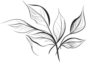 Leafy Lines Plant Leaves Emblem Design Botanic Illustration Vector Logo Icon