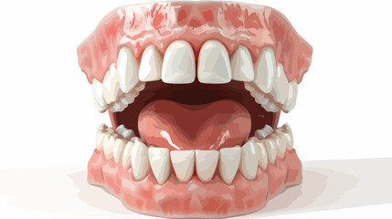 3d rendering of human teeth open mouth on white back