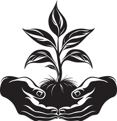 Natural Harmony Hands Holding Growing Plant Design Leafy Liaison Vector Graphic of Hands and Living Plant