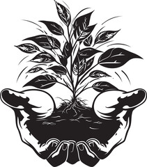 Eco Elegance Living Plant Emblem in Hands Graphic Botanic Bloom Vector Logo Featuring Growing Plant and Hands