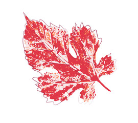 Colorful watercolor beautiful texture print of a tree leaf. Made by hand drawn. Vector illustration isolated on white background