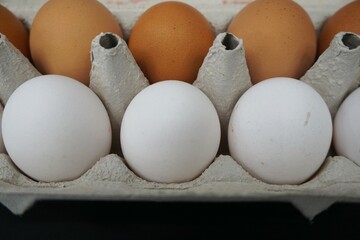 Weiße und braune Eier in Pappkartonschale 