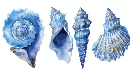 blue seashells   conch shell and cockle shell. Sea s