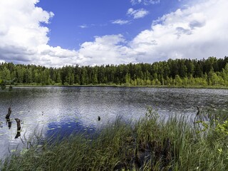 Beautiful landscape on the Vsevolozhsk Lakes, in the Leningrad region in North-West Russia