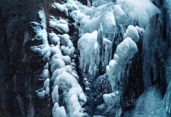 icicles on the edge of a forest stream