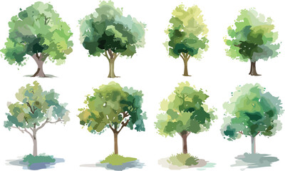 Set of watercolor green tree isolated on white background for landscape and architecture drawing, elements for environment and garden, botanical for section in spring © Chelebi