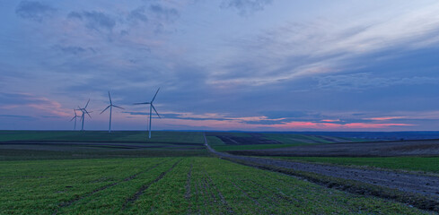 Turbiny wiatrowe w Tomaszowie Lubelskim wieczorem. © Adam Sadlak