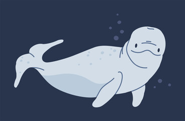 Beluga whale. Underwater mammal animal, hand drawn white whale, aquatic cute creature swimming in ocean flat vector illustration. White whale animal