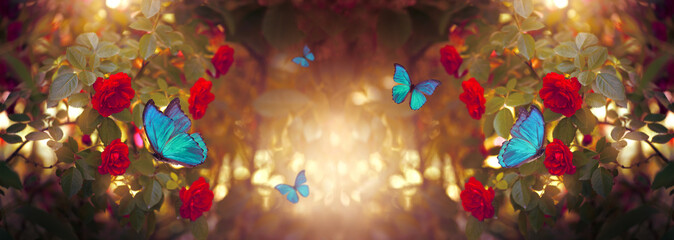 Red Rose Flowers and blue Morpho butterflies in Fantasy magical blooming garden, fairytale floral...