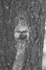 La Plaine 25 Février 2024