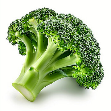Fresh Broccoli Isolated on White Background