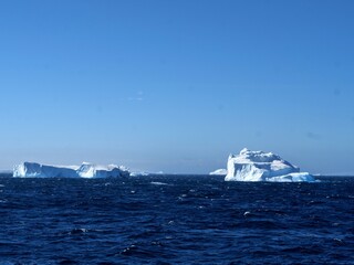 Strahlend weiße Eisberge im Antarctic Sound vor der Antarktischen Halbinsel bei fast wolkenlosem Himmel und Sonnenschein