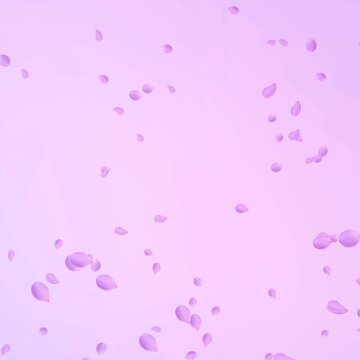 Purple petals on the purple background