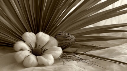 a white flower sitting on top of a bed next to a large palm frond on top of a white sheet.