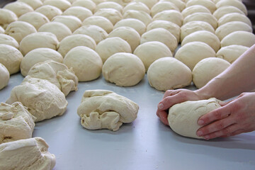 Female baker kneading dough in a bakery. Making bread, close up