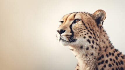 Cheetah Ai Generative