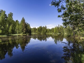 Beautiful landscape on the Vsevolozhsk Lakes, in the Leningrad region in North-West Russia