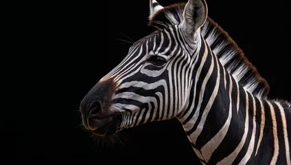 Foto op Plexiglas Zebra on black background © hassani
