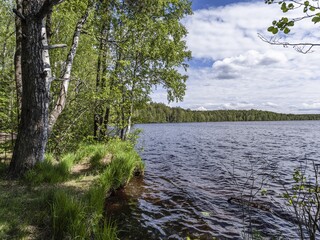 Beautiful landscape on the Vsevolozhsk Lakes, in the Leningrad region in North-West Russia