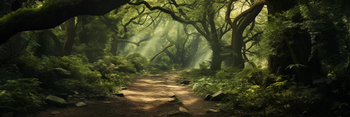  The Mysterious Path: A Celebration of Nature's Grandeur and Enigma in JL Carter's Art © Gordon