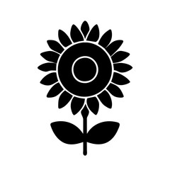 Sunflower icon with seeds