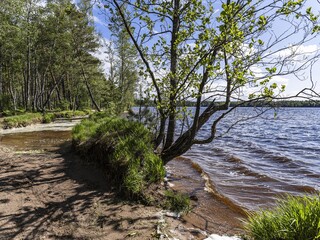Beautiful landscape on the Vsevolozhsk Lakes, in the Leningrad region in North-West Russia