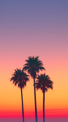 Fototapeta na wymiar A cluster of palm trees against a sunset sky Calmness atmospheric photo footage for TikTok, Instagram, Reels, Shorts
