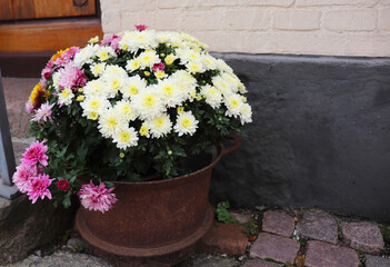 flowers in ceramic pots on the city streets