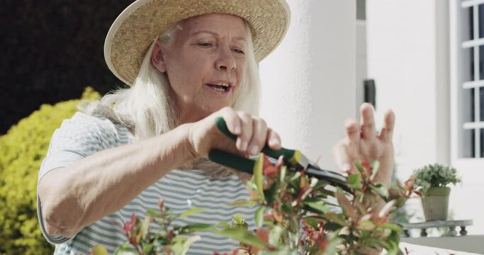 Senior woman, gardening and prune plant with happiness, nature and spring with flowers, hobby and peaceful. Pensioner, retirement or old person with smile, growth or leaves in backyard or environment