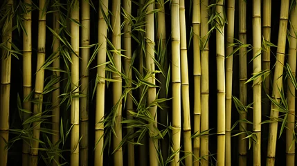 Foto op Plexiglas Bamboo fence background with space for text, Bamboo texture © Vladimir