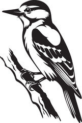 Rustic Rhythm Vector Logo Design with Woodpecker Plumage Percussion Iconic Woodpecker Logo