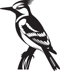 Percussive Plumage Woodpecker Symbol Graphics Beak Beat Vector Logo with Woodpecker Icon