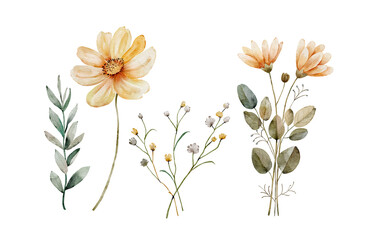 set of watercolor floral yellow bouquets and plants. Hand-colored botanical illustration.