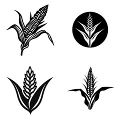 set of ears of corn or wheat  black and white vector illustration isolated transparent background logo, cut out or cutout t-shirt print design