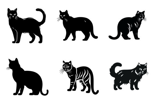 set of cats black and white  vector illustration isolated transparent background logo, cut out or cutout t-shirt print design