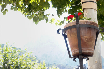 Pot of geraniums on a wrought iron pot in an Andalusian village.