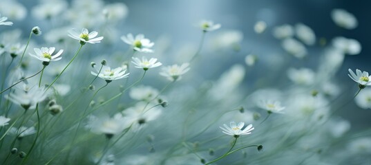 Spring serenity  abstract textures of fresh grass and delicate flowers dancing in light and shadow.