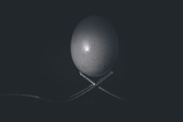 Reflection of Light off an egg