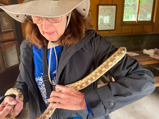 A Mature Woman Naturalist Experiencing a Gopher Snake for the First Time showing ophidiophobia,  The Fear of Snakes