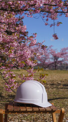 建設業・製造業などの入社イメージ｜桜の花とヘルメット