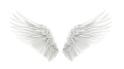 Fototapeta premium Ethereal White Angel Wings Isolated on White Background