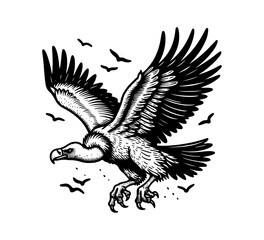 Fototapeta na wymiar vulture hand drawn vintage illustration in black and white