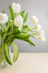 Fresh White Tulips in Vase on Beige Table. Copy space