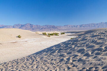 Footprints in the sand at Mesquite Flat Sand Dunes, Death Valley National Park, California