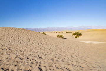 Footprints in the sand at Mesquite Flat Sand Dunes, Death Valley National Park, California